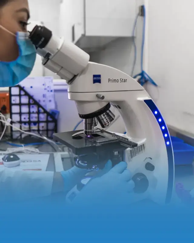 Laboratorio